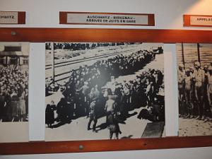 2019 04 28 TOULON HOMMAGE AUX VICTIMES DE LA DEPORTATION (35)